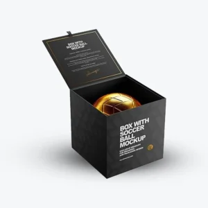Custom Sports Boxes